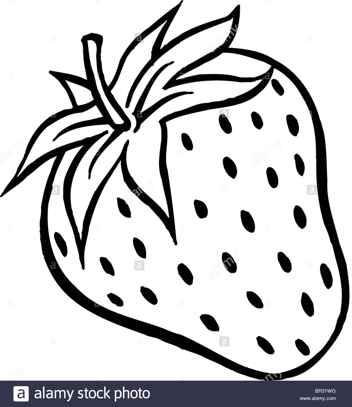 Strawberry Outline Drawing | Free download on ClipArtMag
