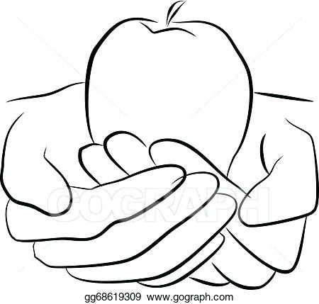 450x429 Fruit Drawings Fruit And Vegetable Drawings Set With Tomato Apple