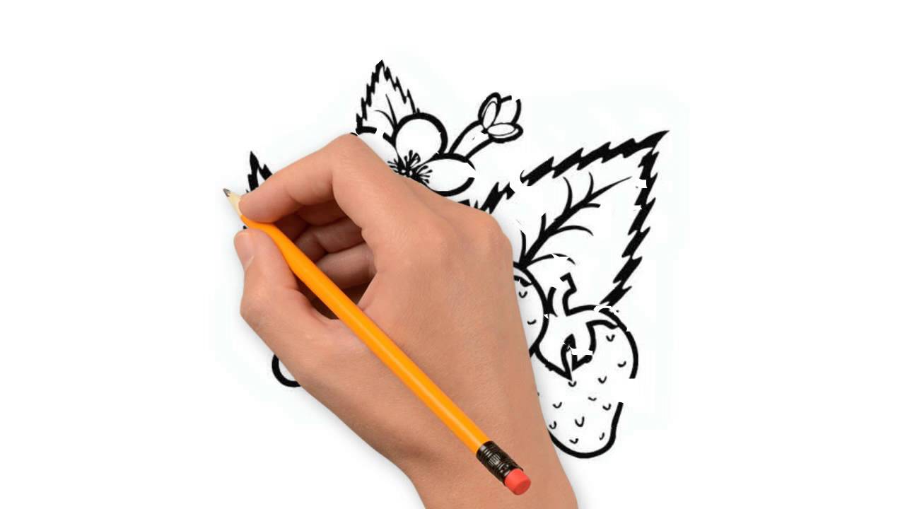 1280x720 Strawberry Nature Pencil To Draw Step