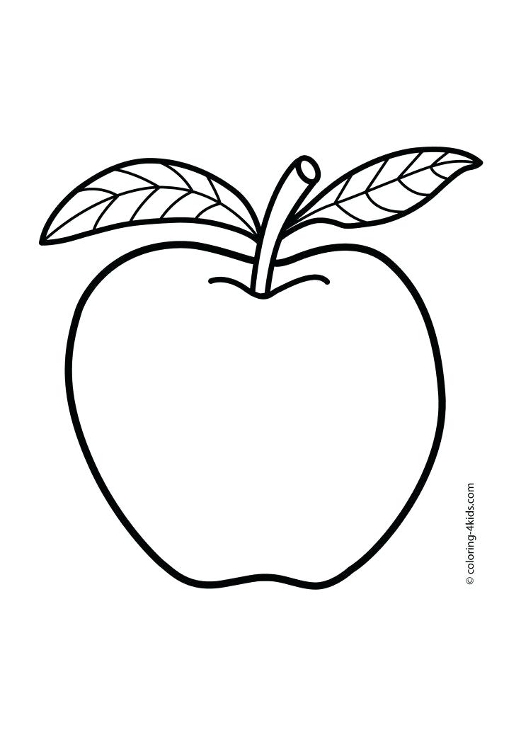 736x1031 Apple Fruit Drawing Apple Flower Apple Fruit Pencil Drawing