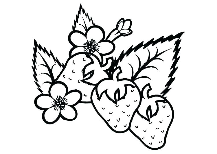 750x531 Strawberry Coloring