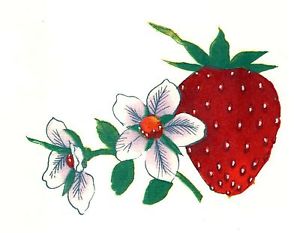 300x233 Strawberry Fruit Select A Size Waterslide Ceramic Decals Xx Ebay