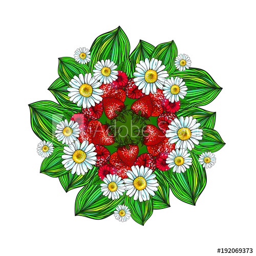 500x500 Vector Summer Round Strawberry Set Isolated On White Background