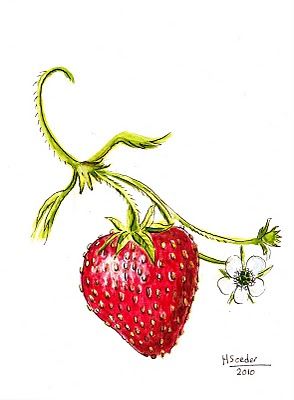 294x400 Perfect For Me! Permanent Ink Vine Tattoos, Strawberry Tattoo