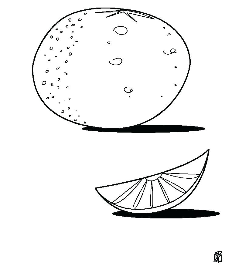 820x900 Orange Blossom Coloring Pages