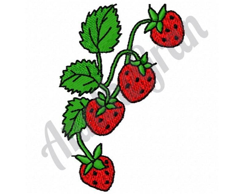 794x635 Strawberry Vine Embroidery Design Machine Embroidery Design Etsy