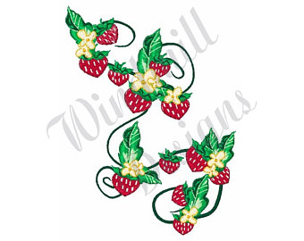 340x270 Strawberry Vine Etsy