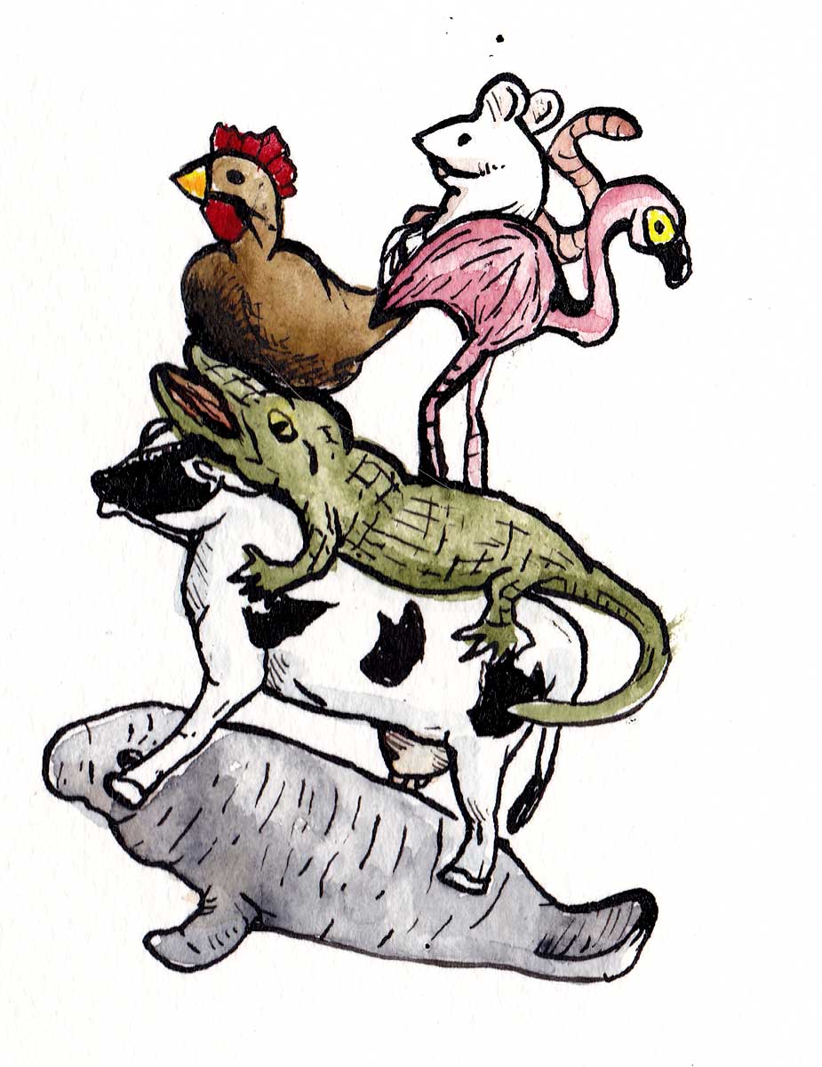 925x1200 Dana Jeri Maier