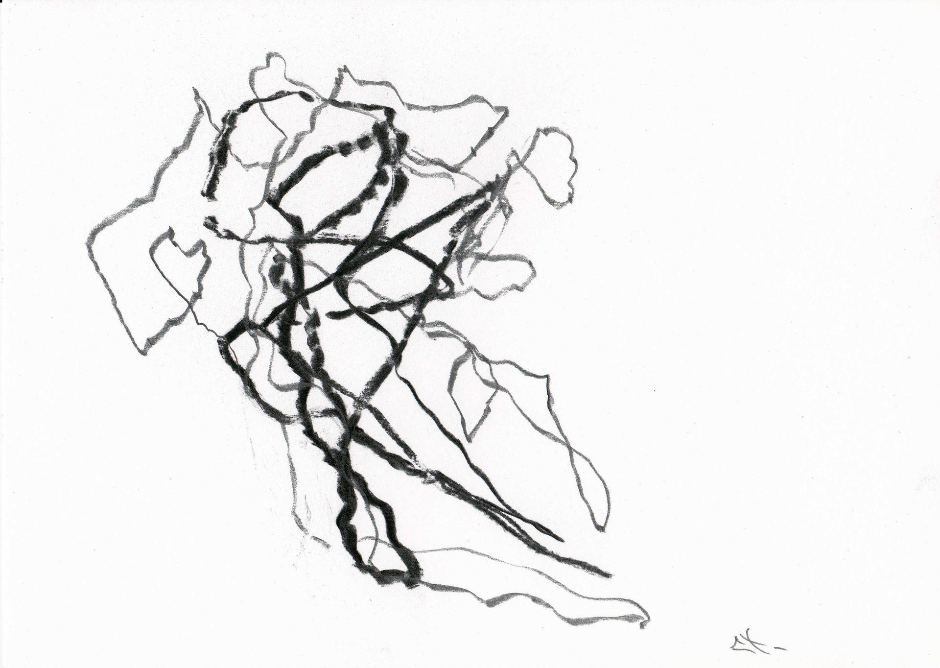 1920x1364 Drawing Charcoal On Sketch Paper X Cm Tree Study