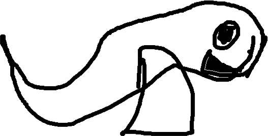 527x268 Beluga Strength Tynker