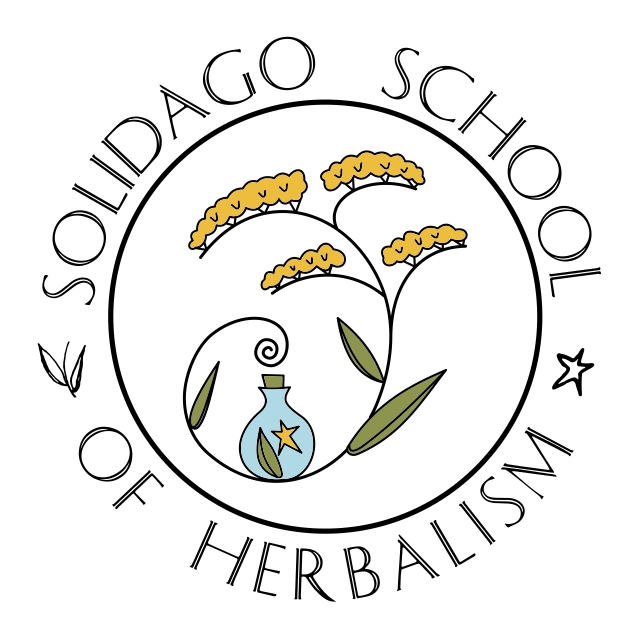 638x638 Herbs For Anxiety And Stress Relief