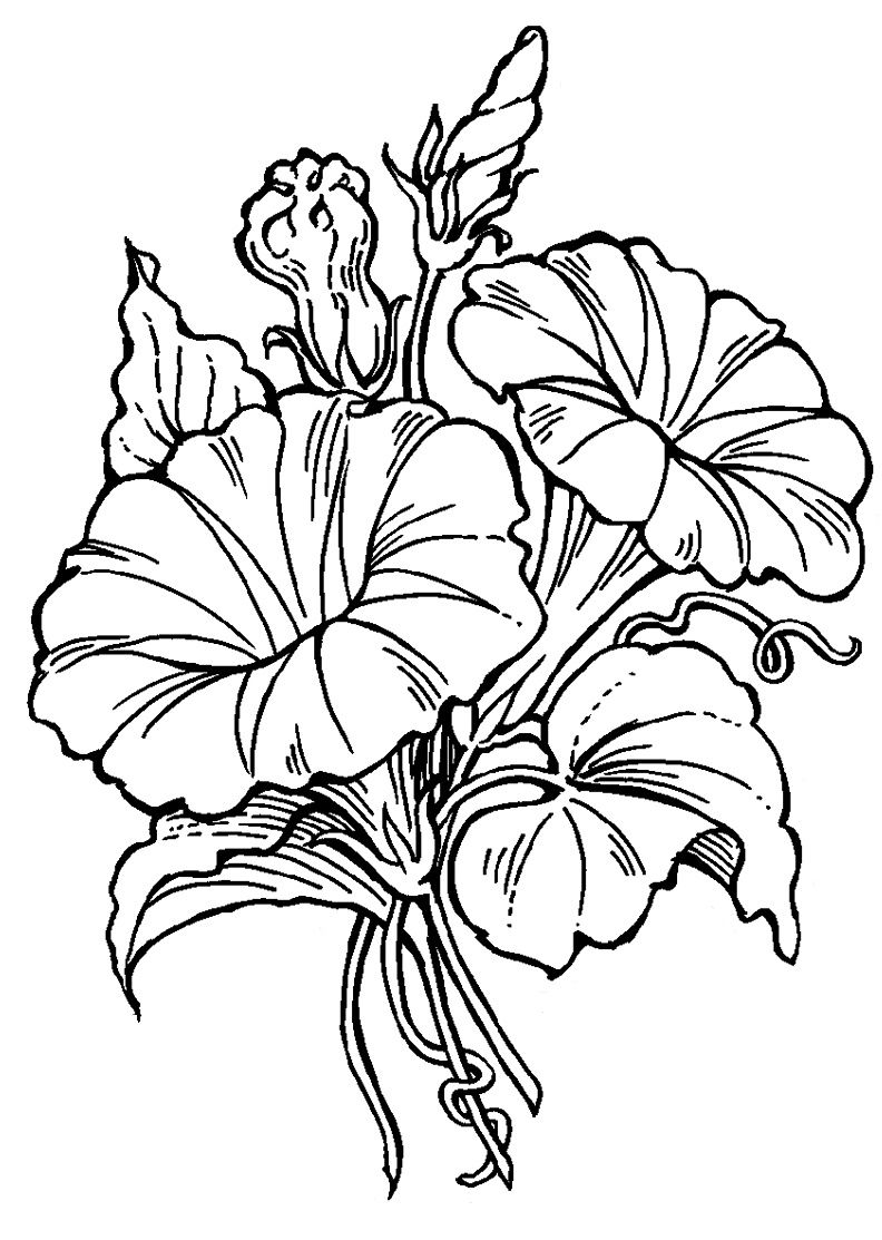 792x1113 Painting Practice Drawings Sketches