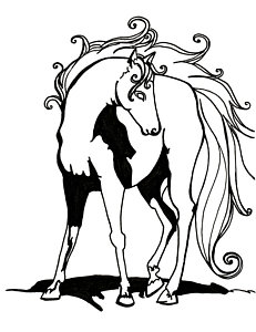 231x300 Stress Drawings