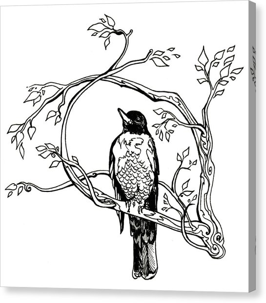 545x622 Stress Relief Canvas Prints