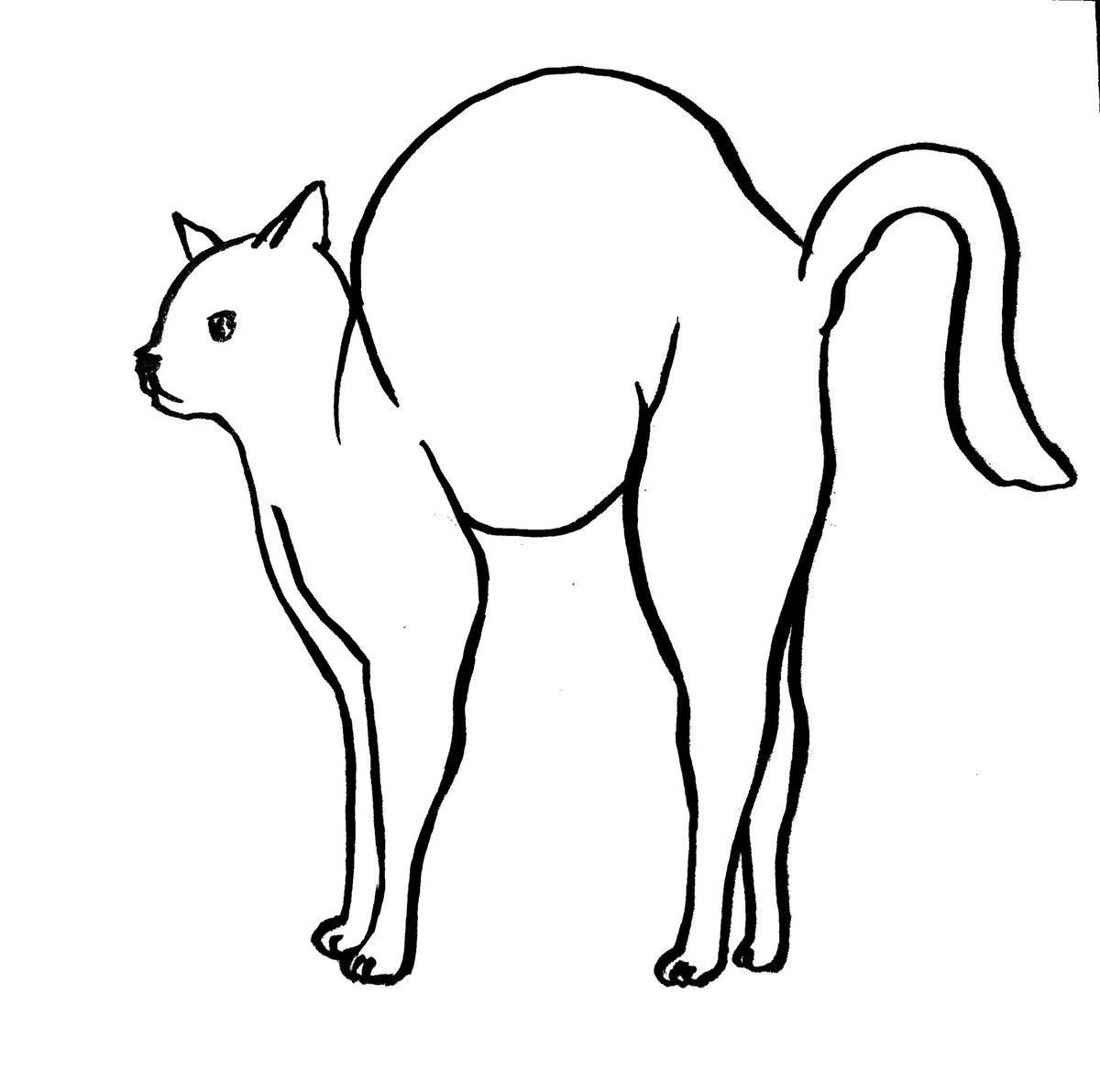 1200x1192 Karen Luk On Twitter Stretch