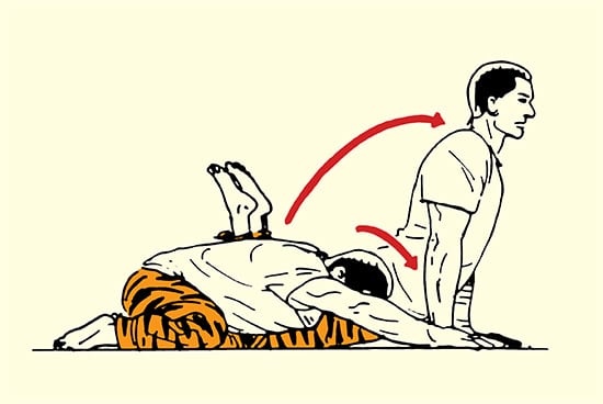 550x368 Morning Stretching Routine For Health Vitality The Art