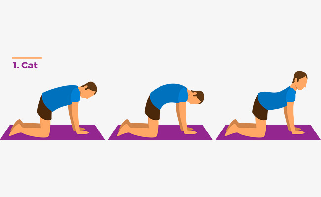 650x400 cat stretching, cat vector, cat stretch, cartoon hand drawing png