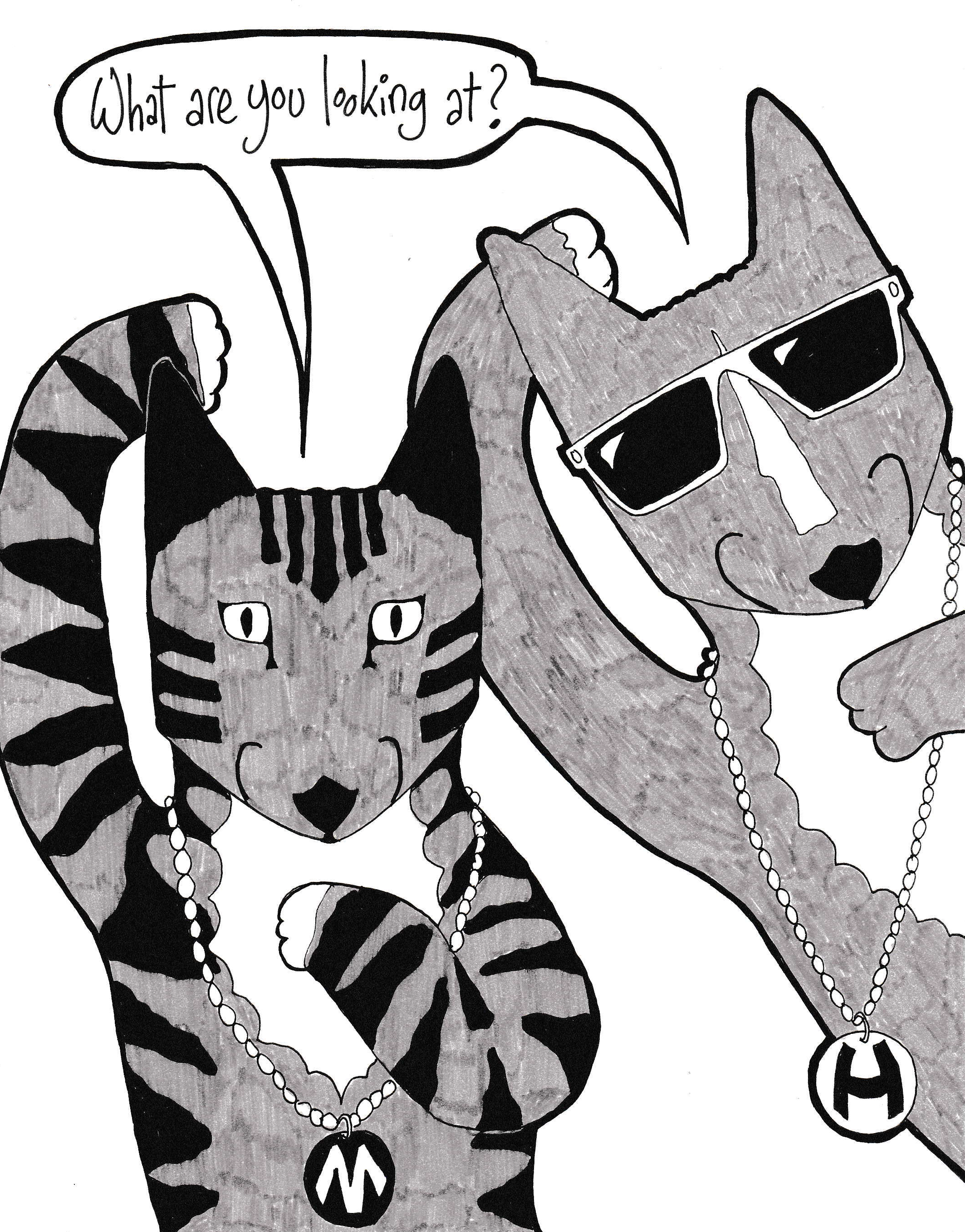 2127x2717 Striking A Paws For Cats Of Hanover Portrait Show Queen