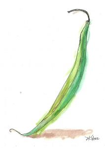 213x299 Green Bean Watercolor