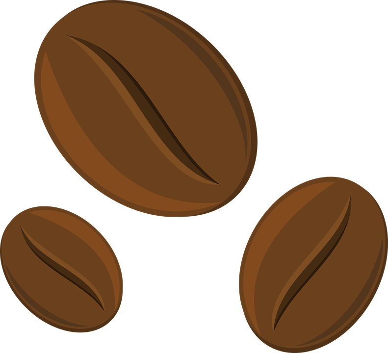 791x720 Bean Drawing Free Download On Unixtitan