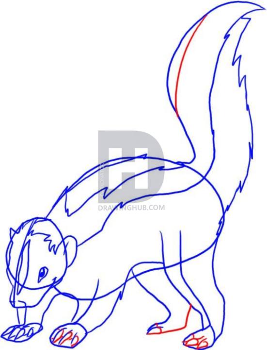 551x720 How To Draw A Skunk, Step