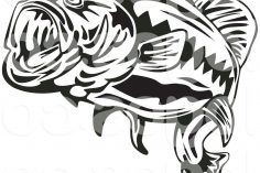 236x157 Bass Drum Drawing Easy Striped Calico In Autocad Bubble Smallmouth