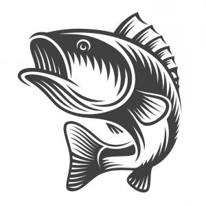 300x300 Clip Art Drawing Of A Bass Fish Soidergi