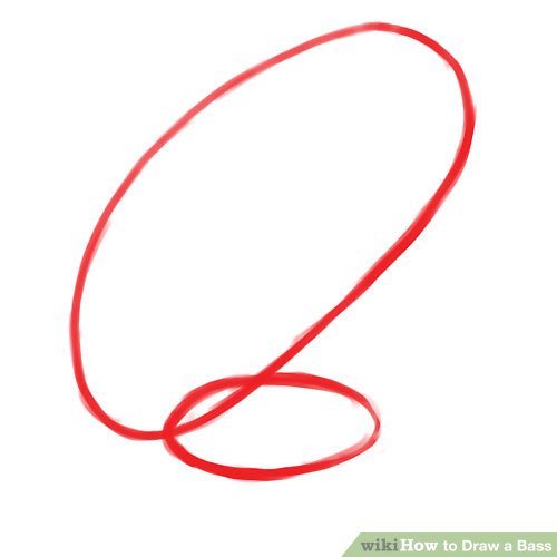 500x500 How To Draw A Bass Steps