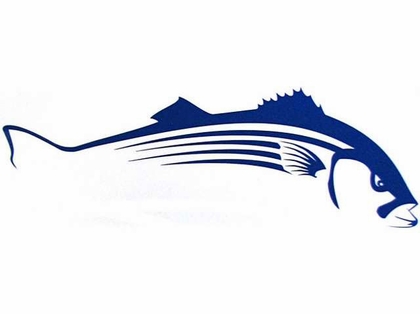 420x314 Steelfin Striped Bass Decals Tackledirect