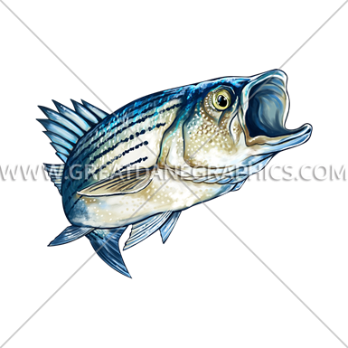 385x385 Striped Bass Production Ready Artwork For T Shirt Printing