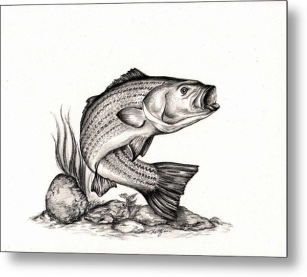 600x541 Striper Drawing