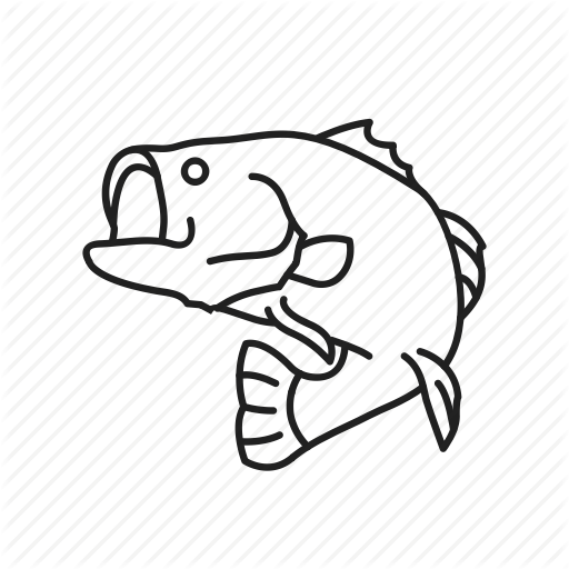 512x512 Sunfish Drawing Bass Transparent Png Clipart Free Download