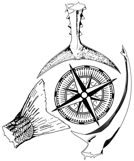 456x550 nautical compass yellowfin tuna striped bass theresa shark