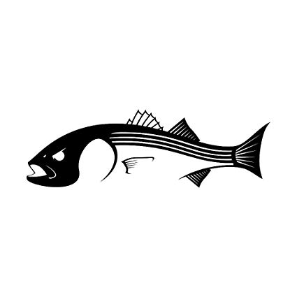 425x425 Striper Decal Striped Bass Sticker Automotive