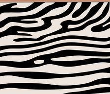 224x192 Drawing Animals