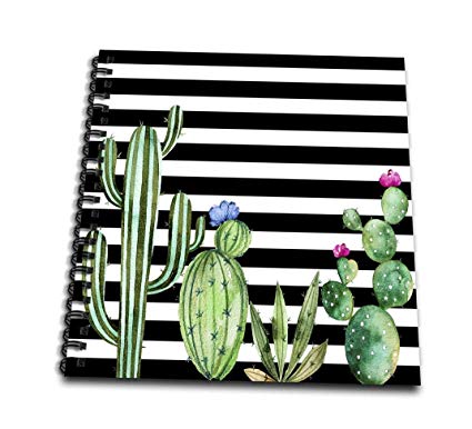 425x386 Black And White Stripes Watercolor Flowering Cactus Drawing