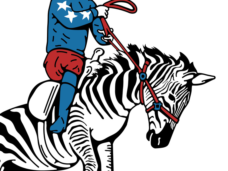 800x600 Stars And Stripes