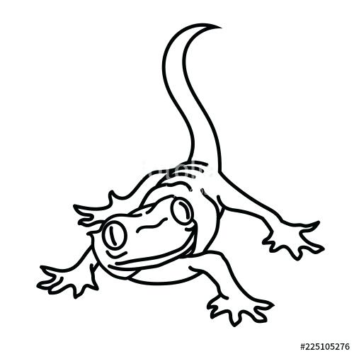 500x500 Simple Lizard Drawing Stripes Lizard Coloring Template Simple Line