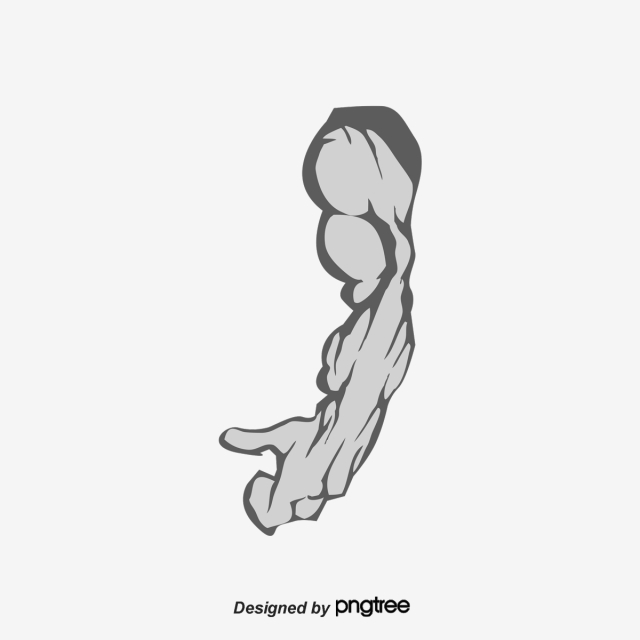 640x640 Strong Arm Png Images Vectors And Free Download
