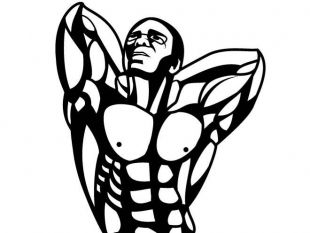 310x233 Strong Man Vector Image Free Vectors Ui Download