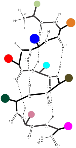 254x491 Collection Of Free Protein Drawing Structural Download On Ui Ex