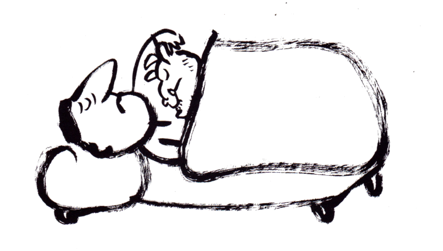 900x510 Axel Scheffler's Official Website Who Is He