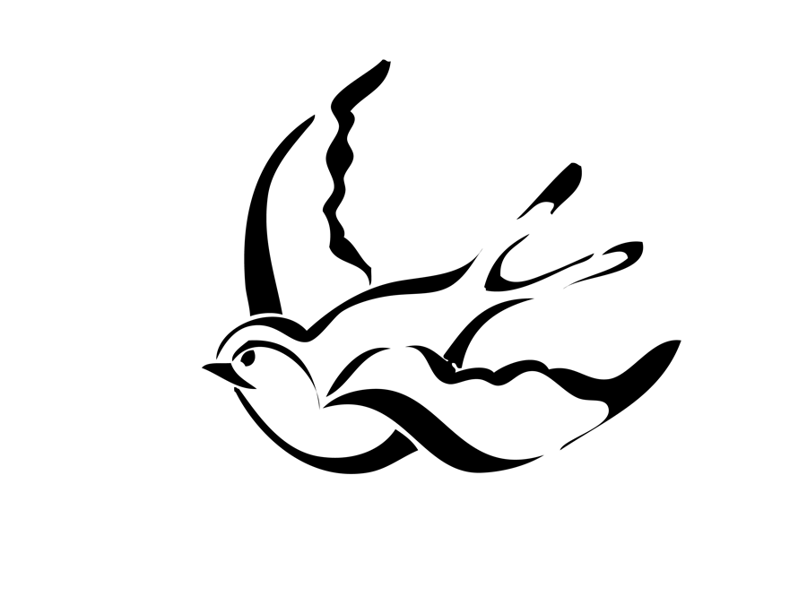 900x675 Studio With No Name