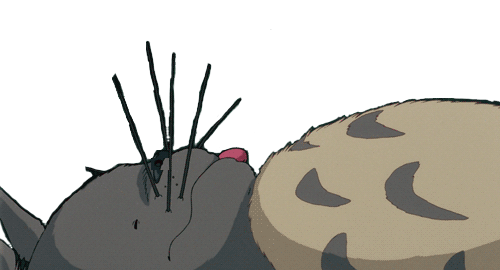 500x270 Studio Ghibli Gifs