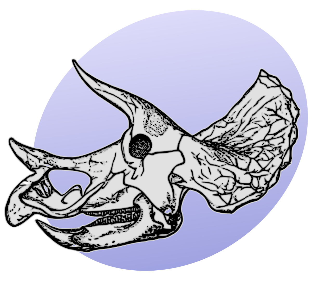 1200x1080 Collection Of Free Stegosaurus Drawing Skull Download On Ui Ex