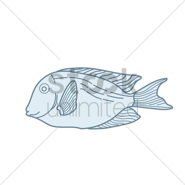 600x600 Fish Vector Image