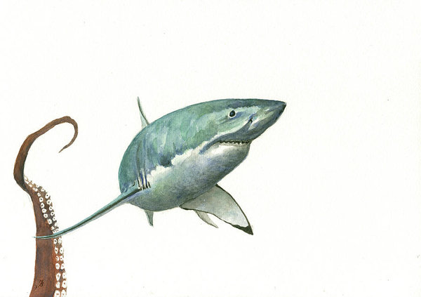 600x423 Shark Paintings Fine Art America