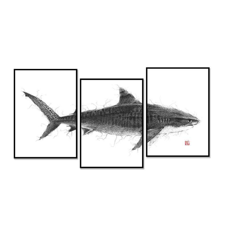 794x794 Tiger Shark Ocean Creature Triptych Ballpoint Pen Drawing Etsy