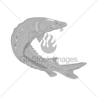 325x325 Alligator Gar Fish Swimming Up Drawing Gl Stock Images