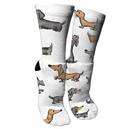 425x425 weiner dog drawing